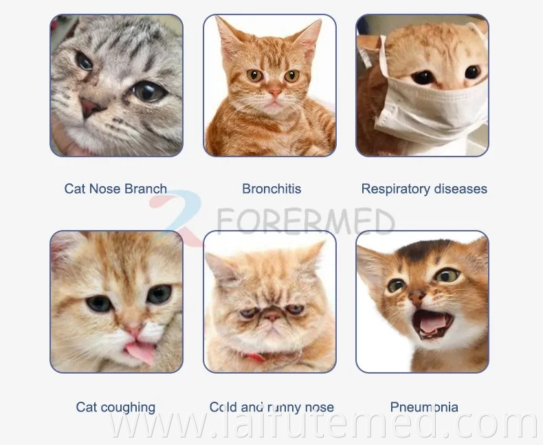 Portable Pet ICU Incubator with Oxygen Concentrator